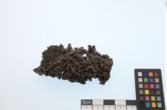 Foto von Kupfer (NHMW-MIN-Aw131)